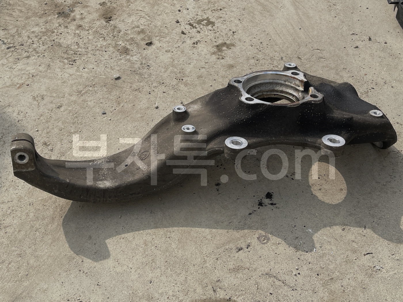 MRaTiny5hQ1Mm2mTLYDcz6A6eHB3DMZxqr7qiwrcWR5Zr.jpg